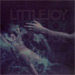 cover for little joy