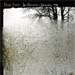 cover for bon iver cover for bon iver