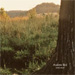 cover for andrew bird