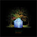 cover for dan deacon