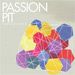 cover for passion pit cover for passion pit