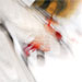 cover for O+S