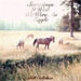 cover for bill callahan