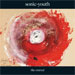 cover for sonic youth