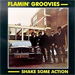 Cover for Shake Some Action