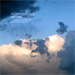 cover for the tallest man on earth