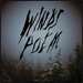 cover for mount eerie