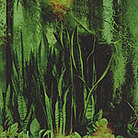 Wood/Water Wood/Water