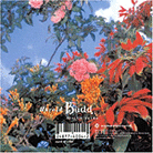 Avalon Sutra / As Long As I Can Hold My Breath Avalon Sutra / As Long As I Can Hold My Breath