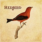 Redbird Redbird