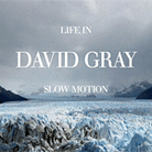 Life in Slow Motion Life in Slow Motion