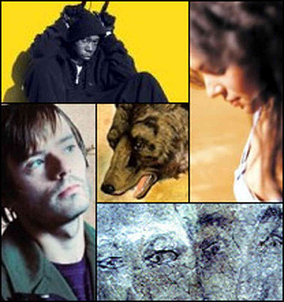 All Songs Considered show image All Songs Considered show image