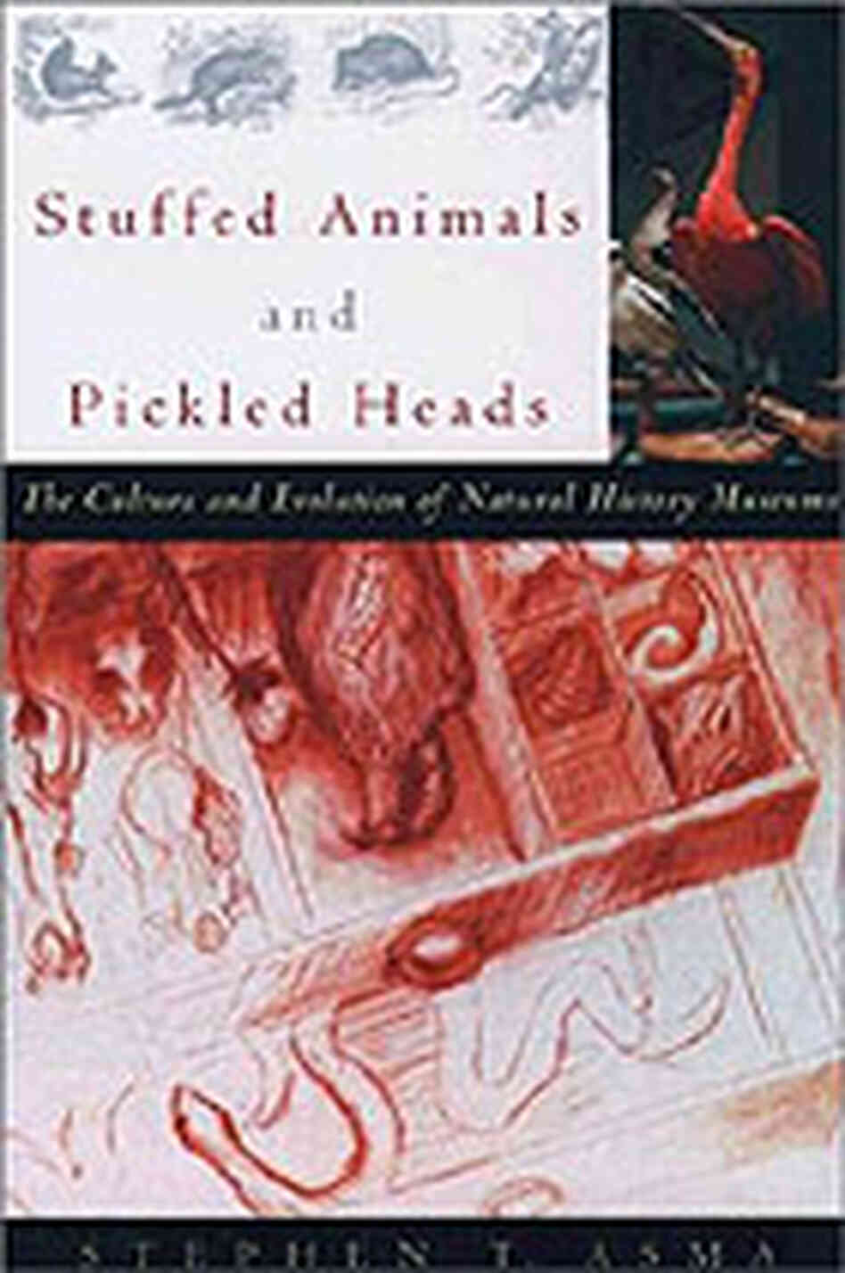Stuffed Animals and Pickled Heads book cover Stuffed Animals and Pickled Heads book cover