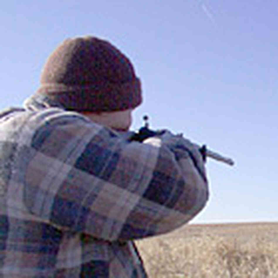 Hunter Larry Mitchell aims at buffalo. Hunter Larry Mitchell aims at buffalo.
