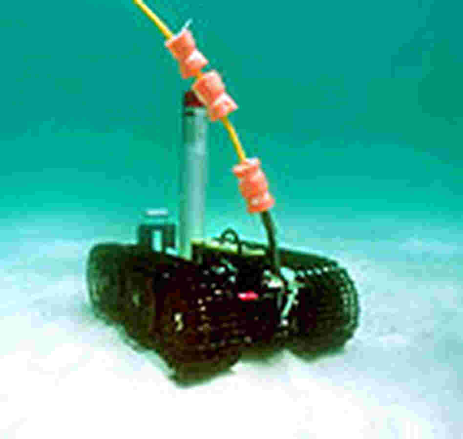 Sea crawler robot Sea crawler robot