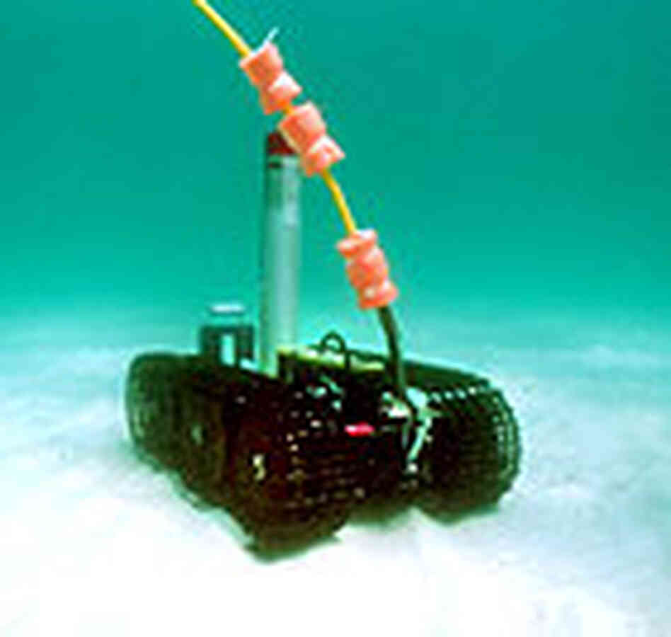 Sea crawler robot Sea crawler robot