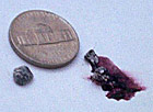 The insect whole, left, and crushed to reveal the source of the red dye.