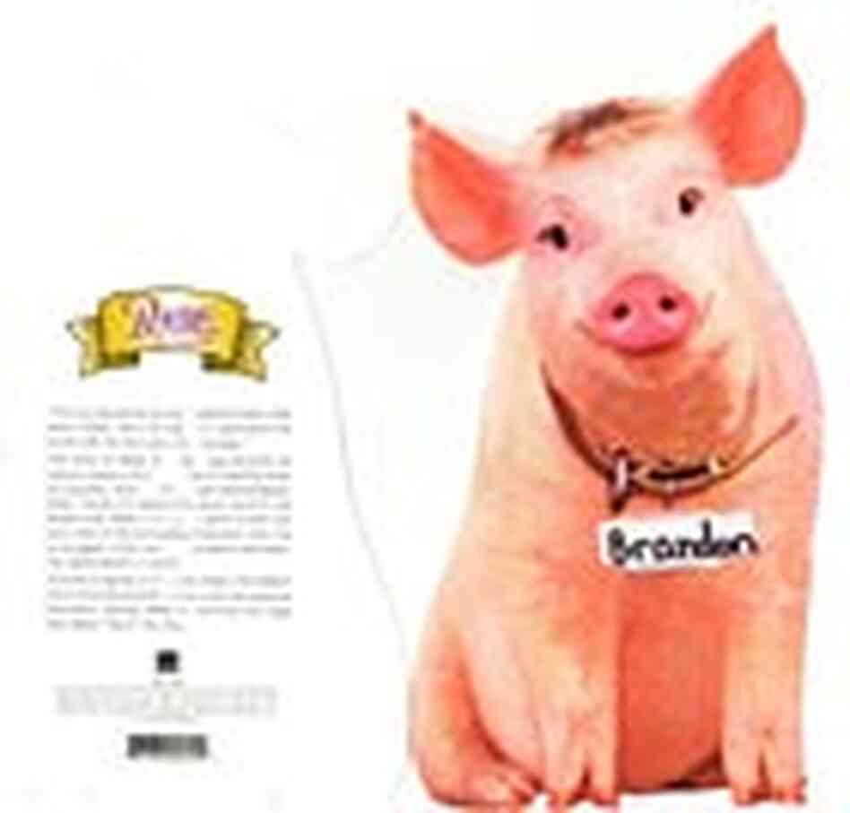 Hi Pig, Love Brandon Hi Pig, Love Brandon
