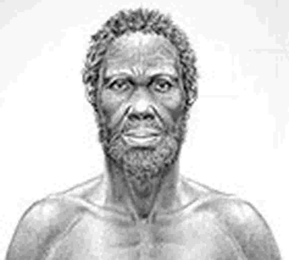 idaltu drawing idaltu drawing