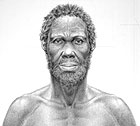 idaltu drawing