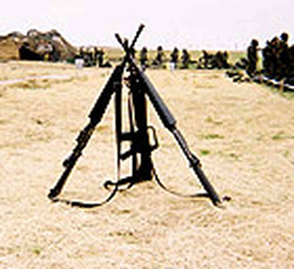 M-16s on the training grounds at Fort Hood M-16s on the training grounds at Fort Hood