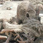 Human remains just exumed from a mass grave near Haila, Iraq.