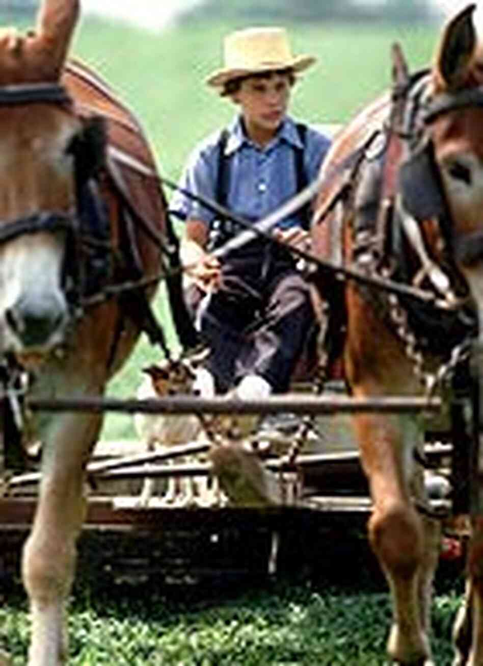 An Amish boy rides on a horse-drawn mover in Lancaster County, Penn. An Amish boy rides on a horse-drawn mover in Lancaster County, Penn.