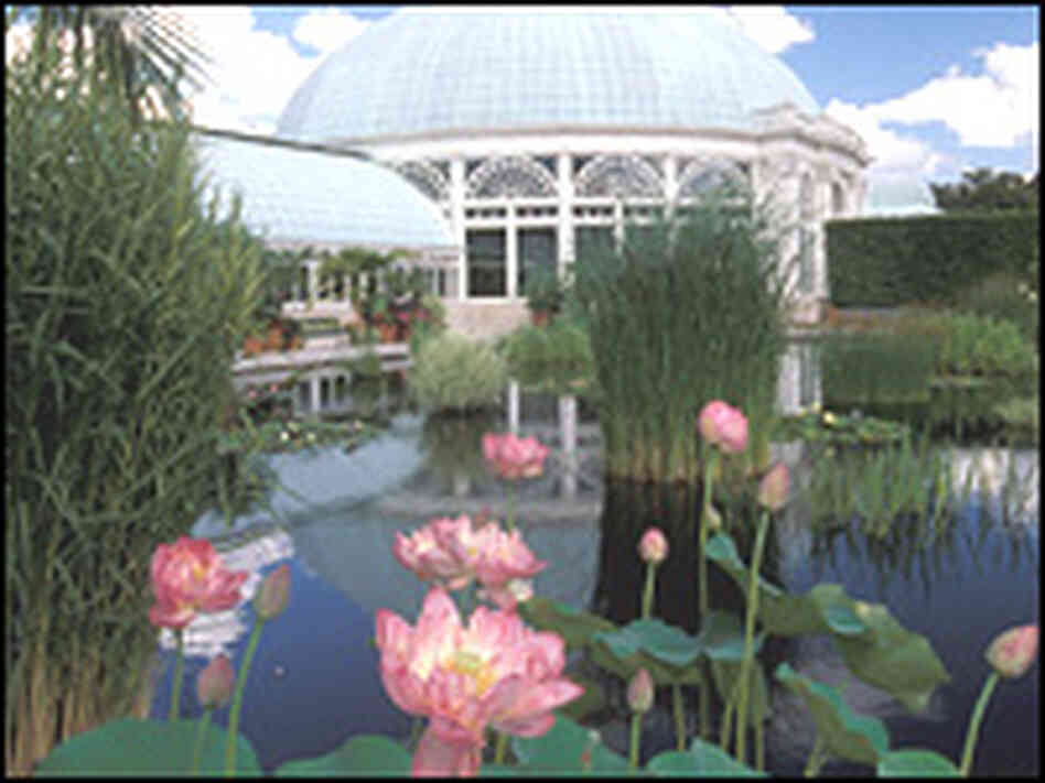 The conservatory pool at the New York Botanical Garden The conservatory pool at the New York Botanical Garden