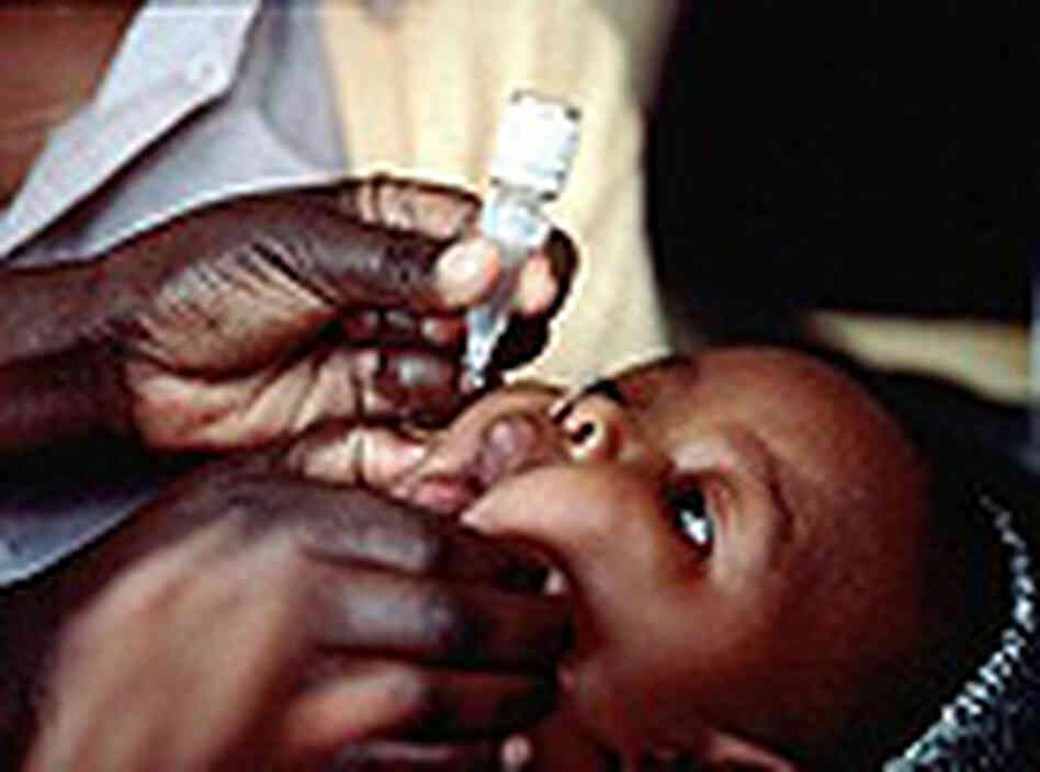 A child receives oral polio vaccine in Angola. A child receives oral polio vaccine in Angola.