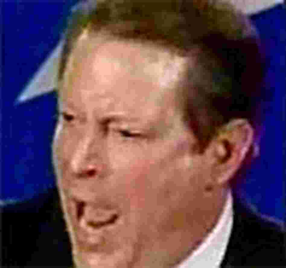 Al Gore, in a Bush-Cheney ad called 'Kerry's Coalition of the Wild-eyed.' Al Gore, in a Bush-Cheney ad called 'Kerry's Coalition of the Wild-eyed.'