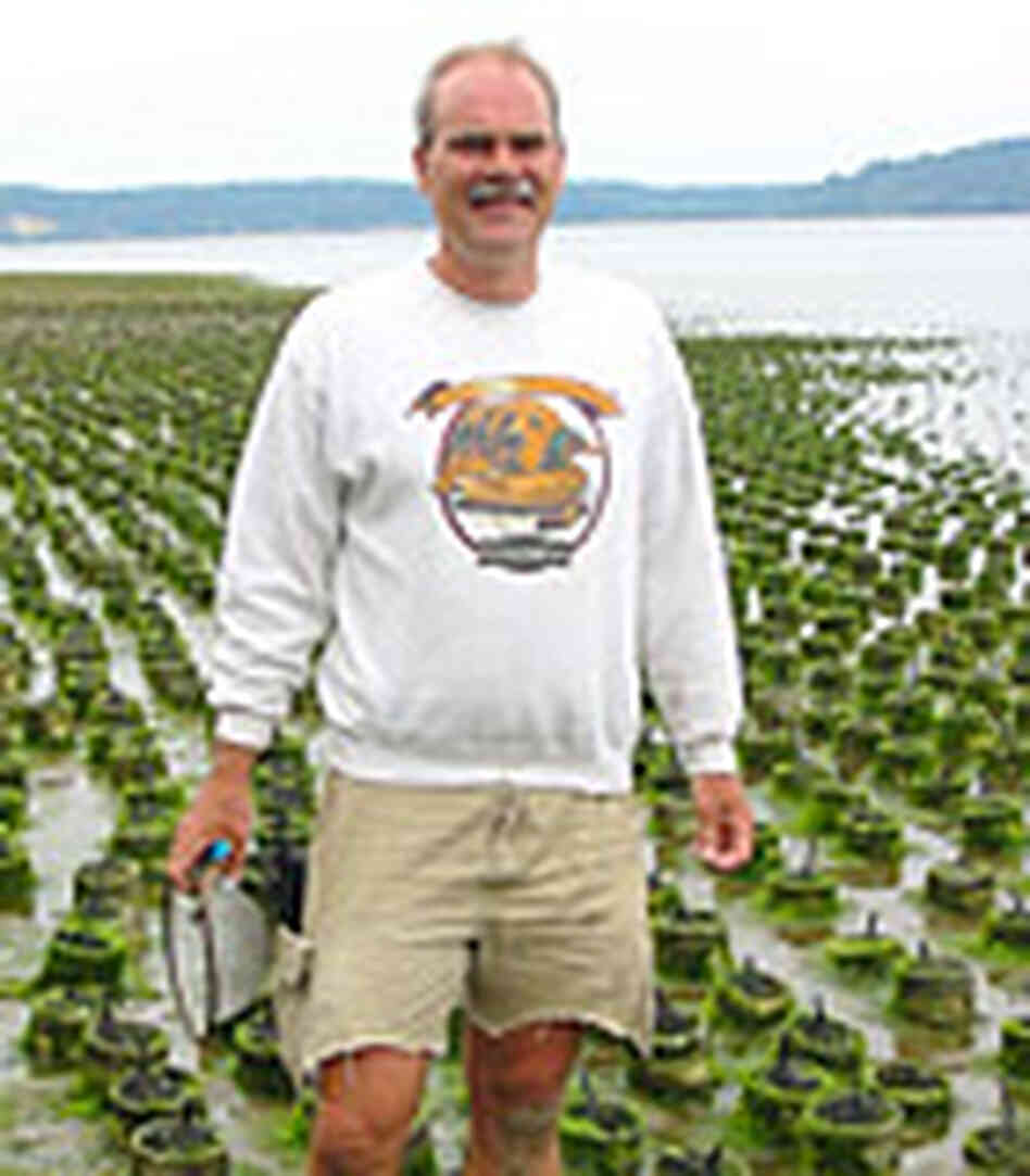 Geoduck farmer Jim Gibbons at a field. Geoduck farmer Jim Gibbons at a field.