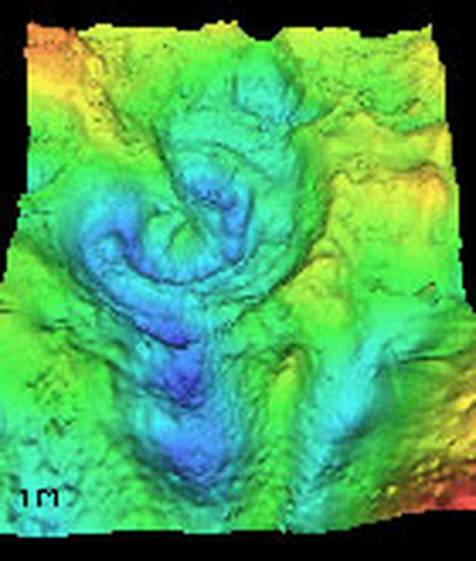 The blue semi-circle at the center of this three-dimensional map marks the Chicxulub crater. The blue semi-circle at the center of this three-dimensional map marks the Chicxulub crater.