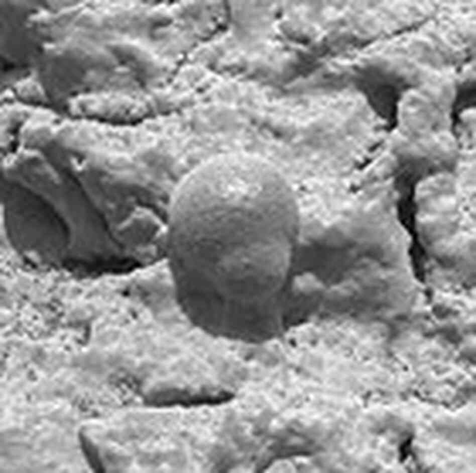 A closeup of a rock outcrop on Mars' Meridiani Planum. A closeup of a rock outcrop on Mars' Meridiani Planum.