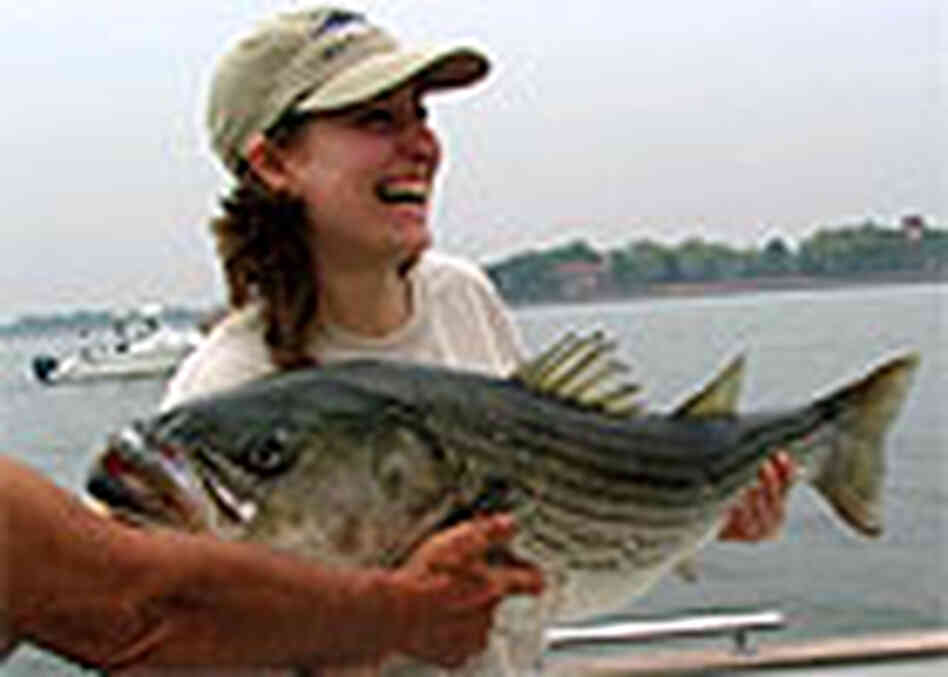 Kristie Magnotta Kristie Magnotta