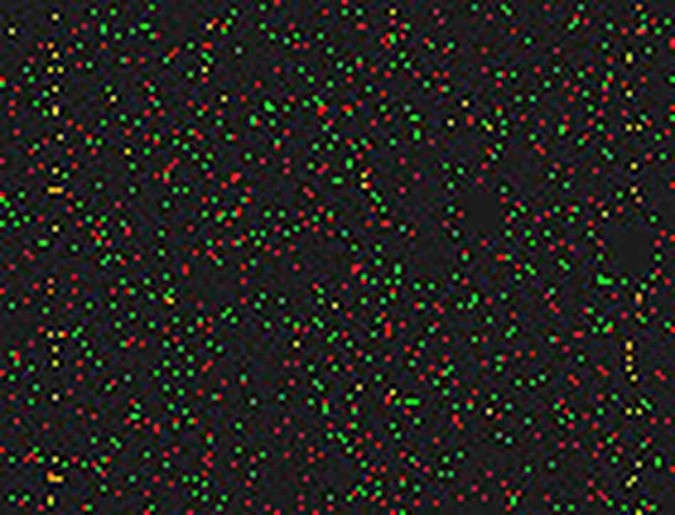 An illusion clues researchers into how the brain works. An illusion clues researchers into how the brain works.
