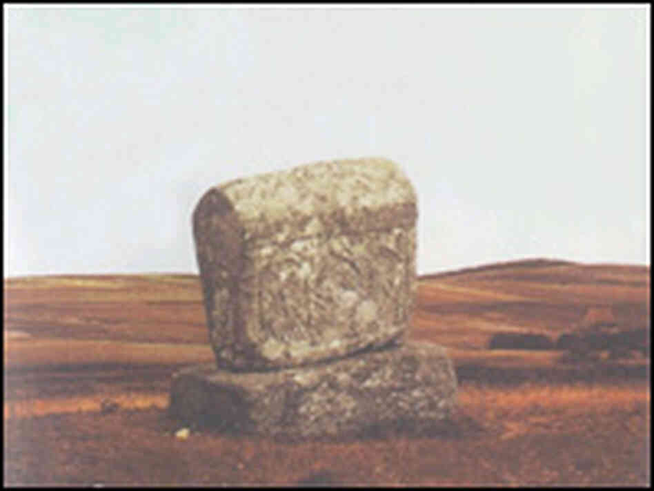 Detail from the cover of 'The Stone Fields.' Detail from the cover of 'The Stone Fields.'