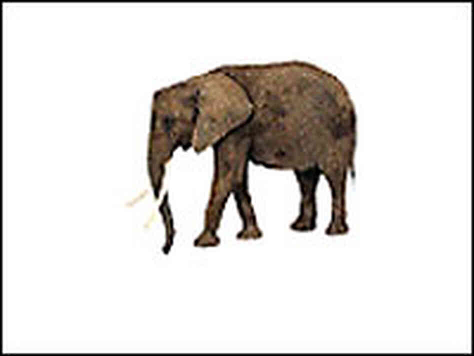 Elephant image from memory test Elephant image from memory test