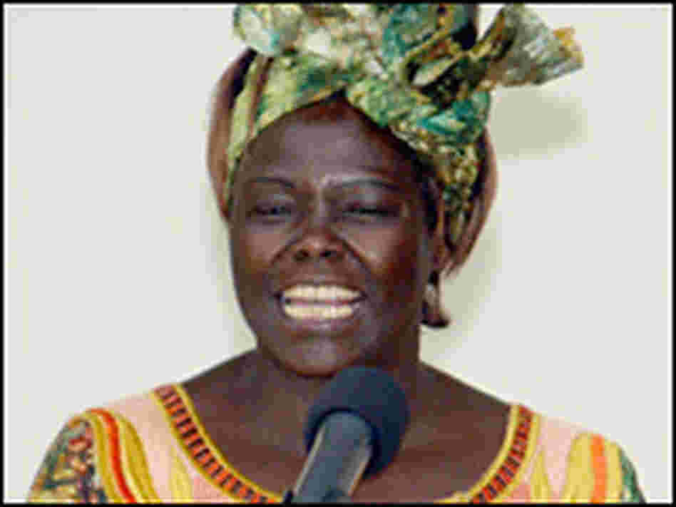 Nobel Peace Prize winner Wangari Maathai in Nairobi, Oct. 8, 2004. Nobel Peace Prize winner Wangari Maathai in Nairobi, Oct. 8, 2004.