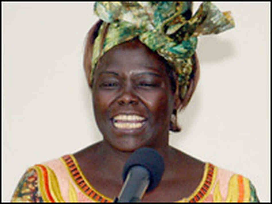 Nobel Peace Prize winner Wangari Maathai in Nairobi, Oct. 8, 2004. Nobel Peace Prize winner Wangari Maathai in Nairobi, Oct. 8, 2004.