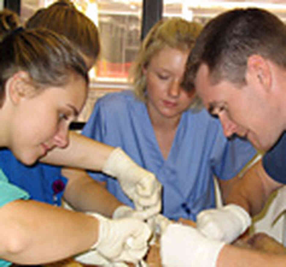 A group of students work on a cadaver. A group of students work on a cadaver.