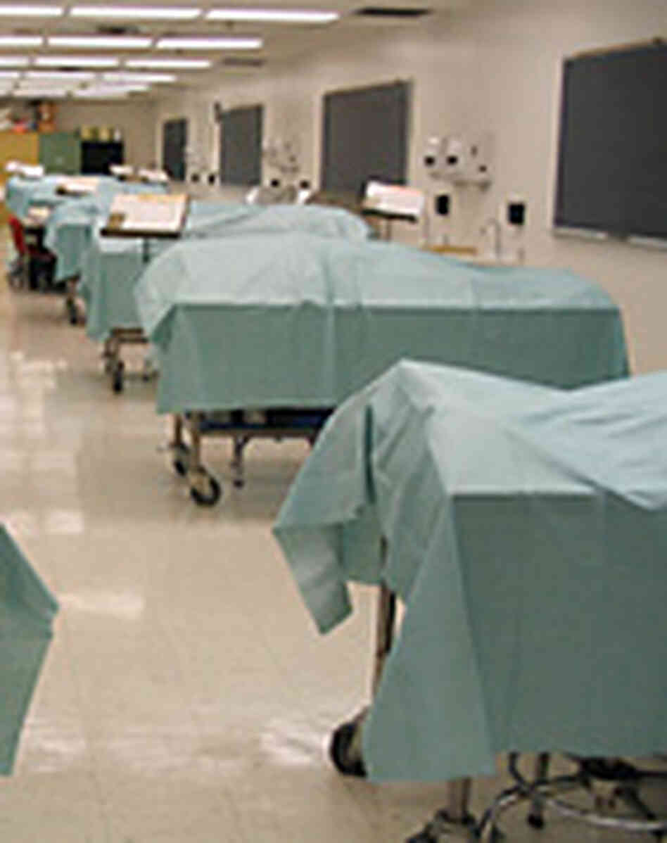 Bodies lie covered on the dissection tables before lab work begins. Bodies lie covered on the dissection tables before lab work begins.