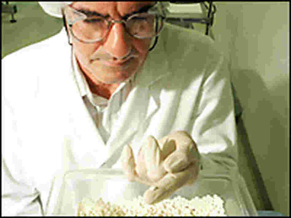 A technician at a Merck manufacturing plant performs a quality check on a batch of Vioxx. A technician at a Merck manufacturing plant performs a quality check on a batch of Vioxx.