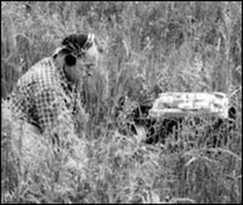 O. Winston Link, in the field -- literally -- recording a passing freight train in 1958.
