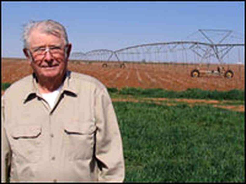 Lubbock, Texas, cotton farmer Nelson Reinsch. Lubbock, Texas, cotton farmer Nelson Reinsch.