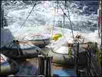 Barny moorings Barny moorings