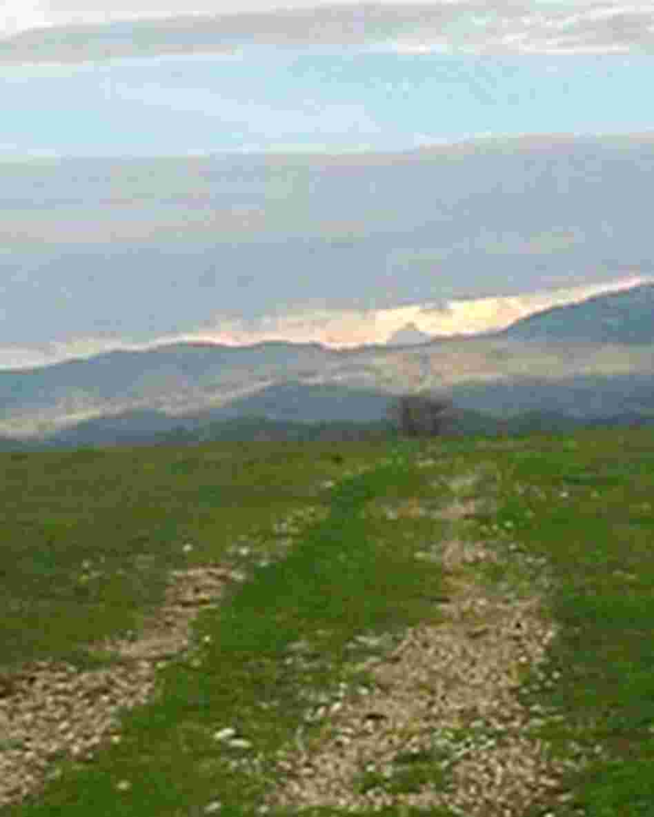 Worth fighting for -- an idyllic view on Fess Parker's property in the Santa Ynez Valley.