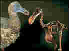 Dodo model and skeleton Dodo model and skeleton