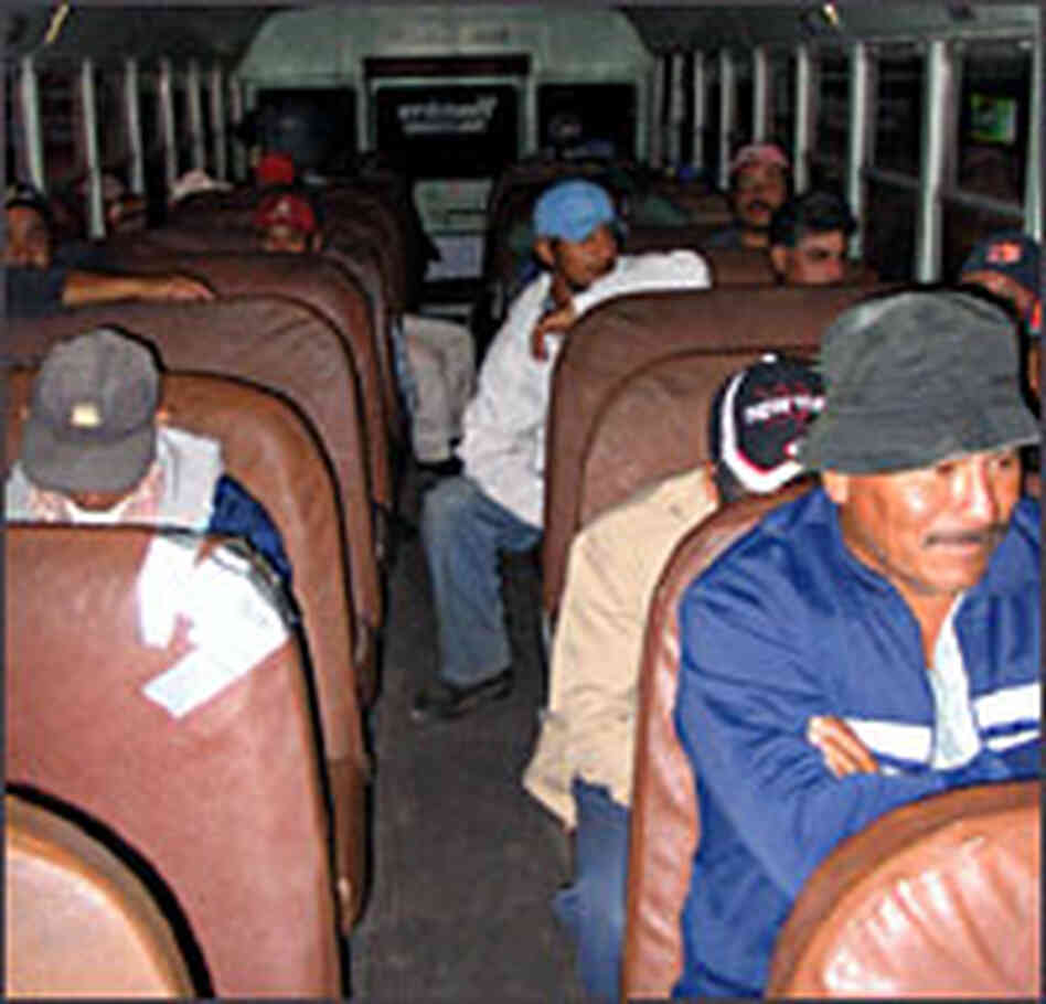 Immokalee farm workers wait on a bus that will take them to the tomato fields. Immokalee farm workers wait on a bus that will take them to the tomato fields.