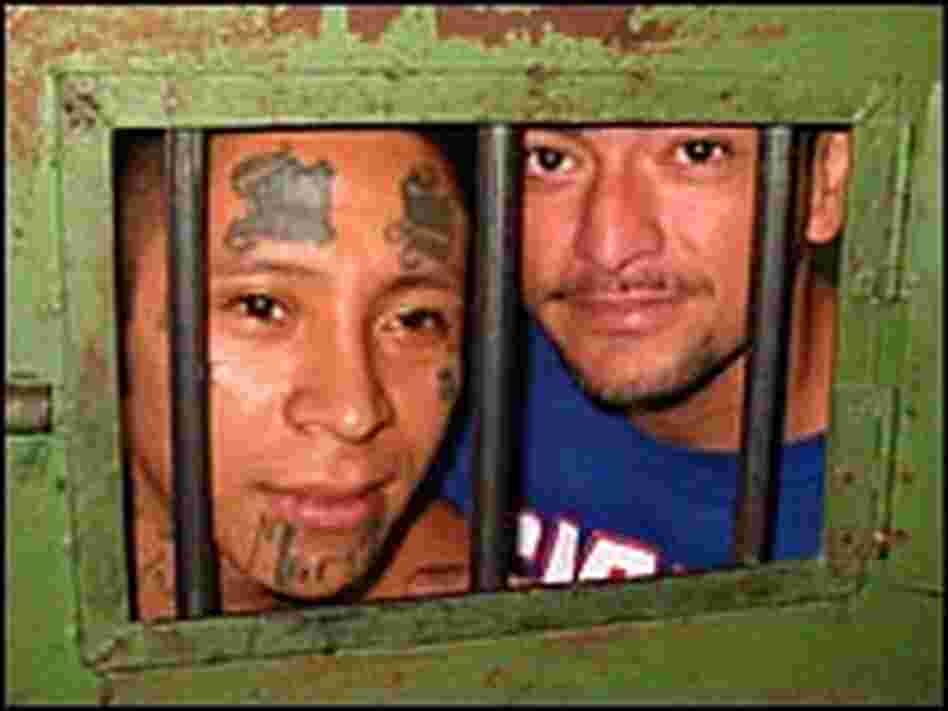 Mara Salvatrucha members at the Quezaltepeque prison in El Salvador Mara Salvatrucha members at the Quezaltepeque prison in El Salvador