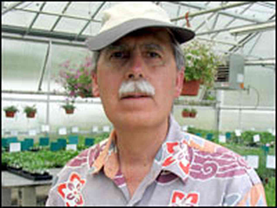 Tom DeBaggio Tom DeBaggio